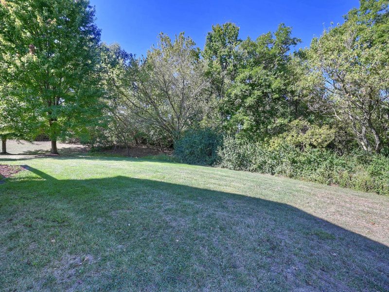 6343 Stallion Court, Independence, KY 41051 Photo 15