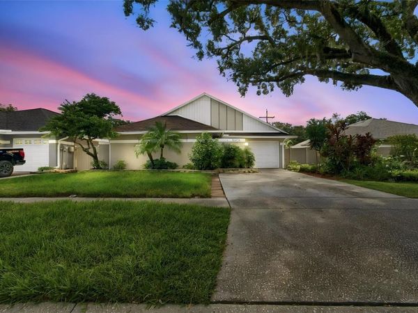 11905 HICKORYNUT DRIVE , TAMPA, FL 33625