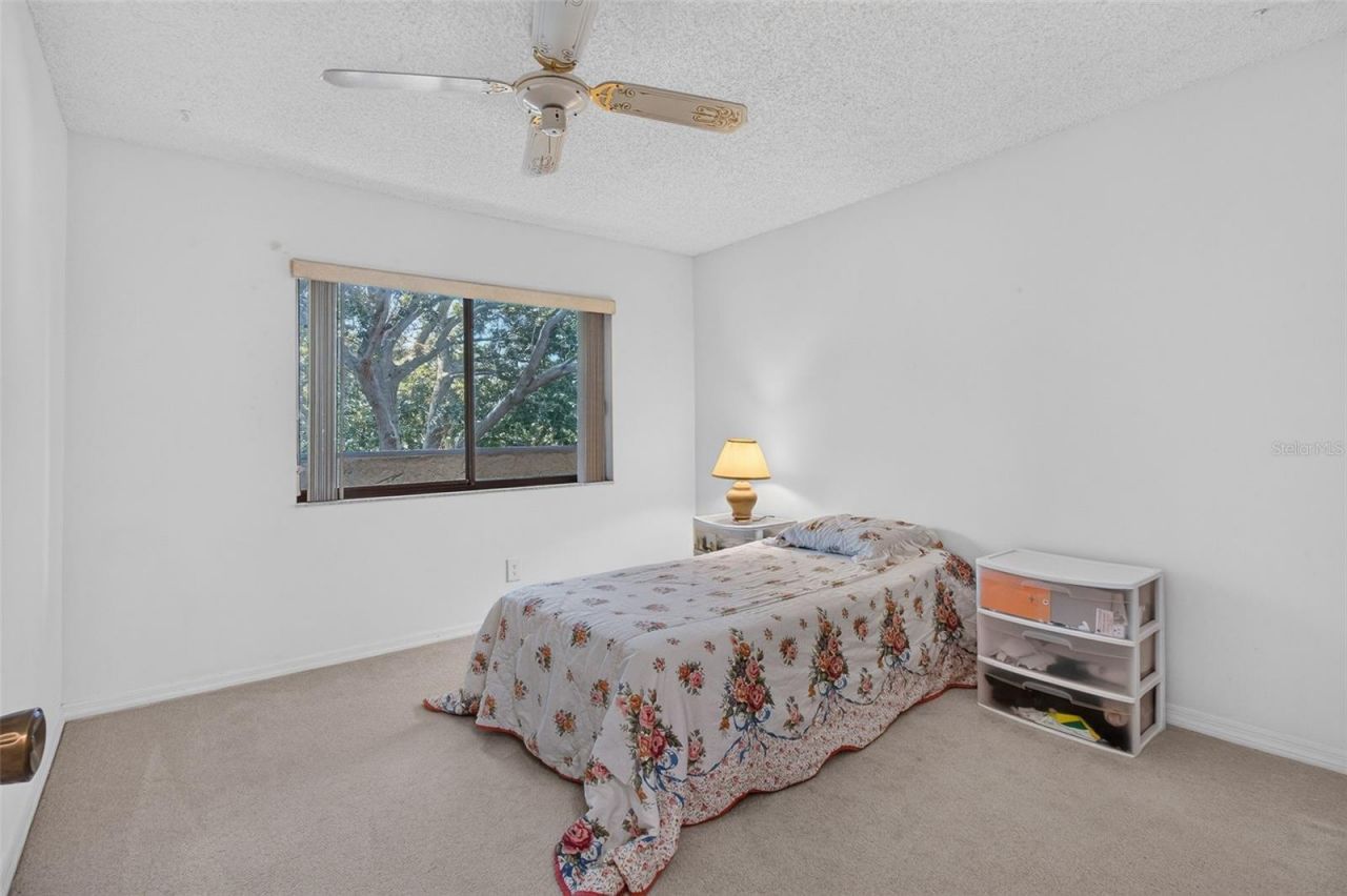 725 83rd Avenue N, Unit 205, Saint Petersburg, FL 33702 Photo