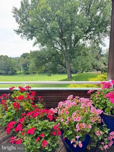 10616 RED BARN LANE, POTOMAC, MD 20854