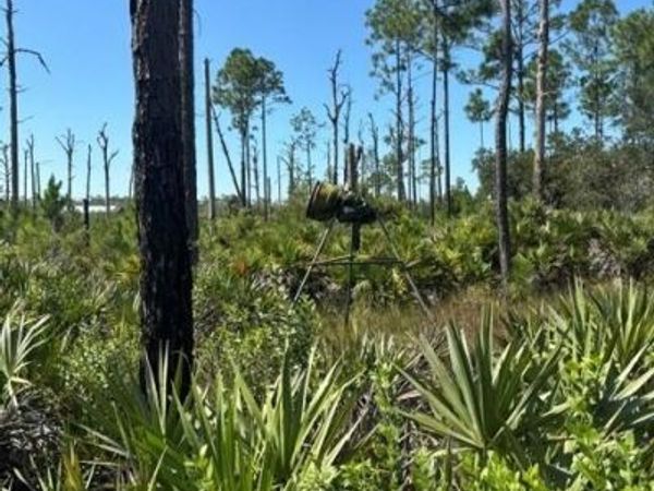 0 Hwy 630e, Frostproof, FL 33843