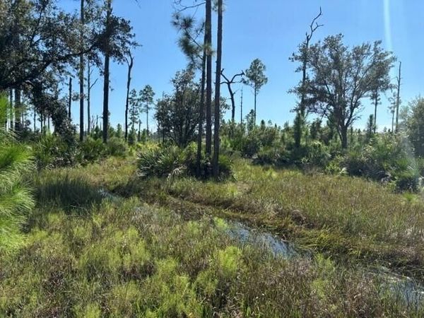 0 Hwy 630e, Frostproof, FL 33843