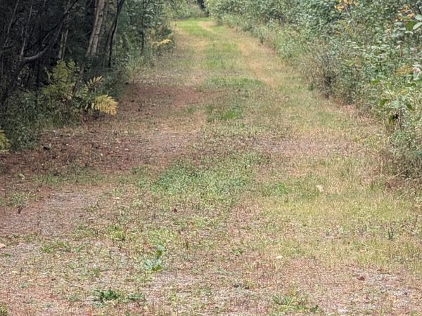 Lot 19 Cram Street , Bradley, ME 04411
