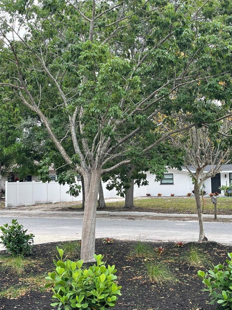 2545 Browning Street , Sarasota, FL 34237 Photo