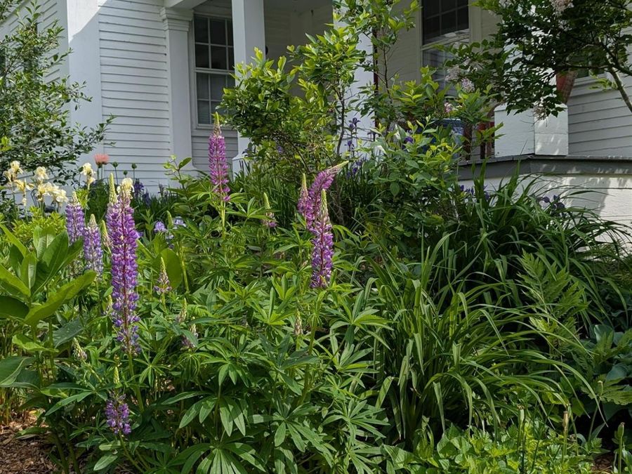 Property Image 55