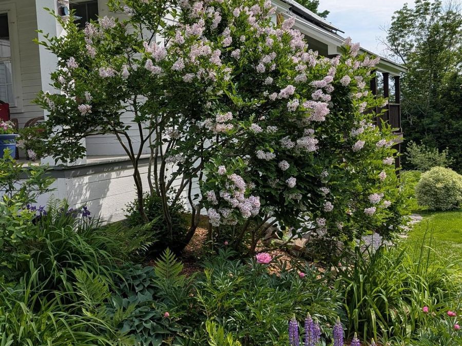 Property Image 56