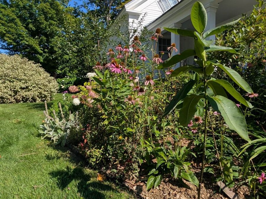Property Image 57