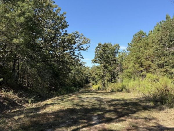Old 51 Road, Pickens, MS 39146