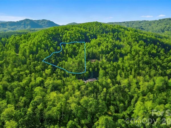 000 Jill Drive , Nebo, NC 28761