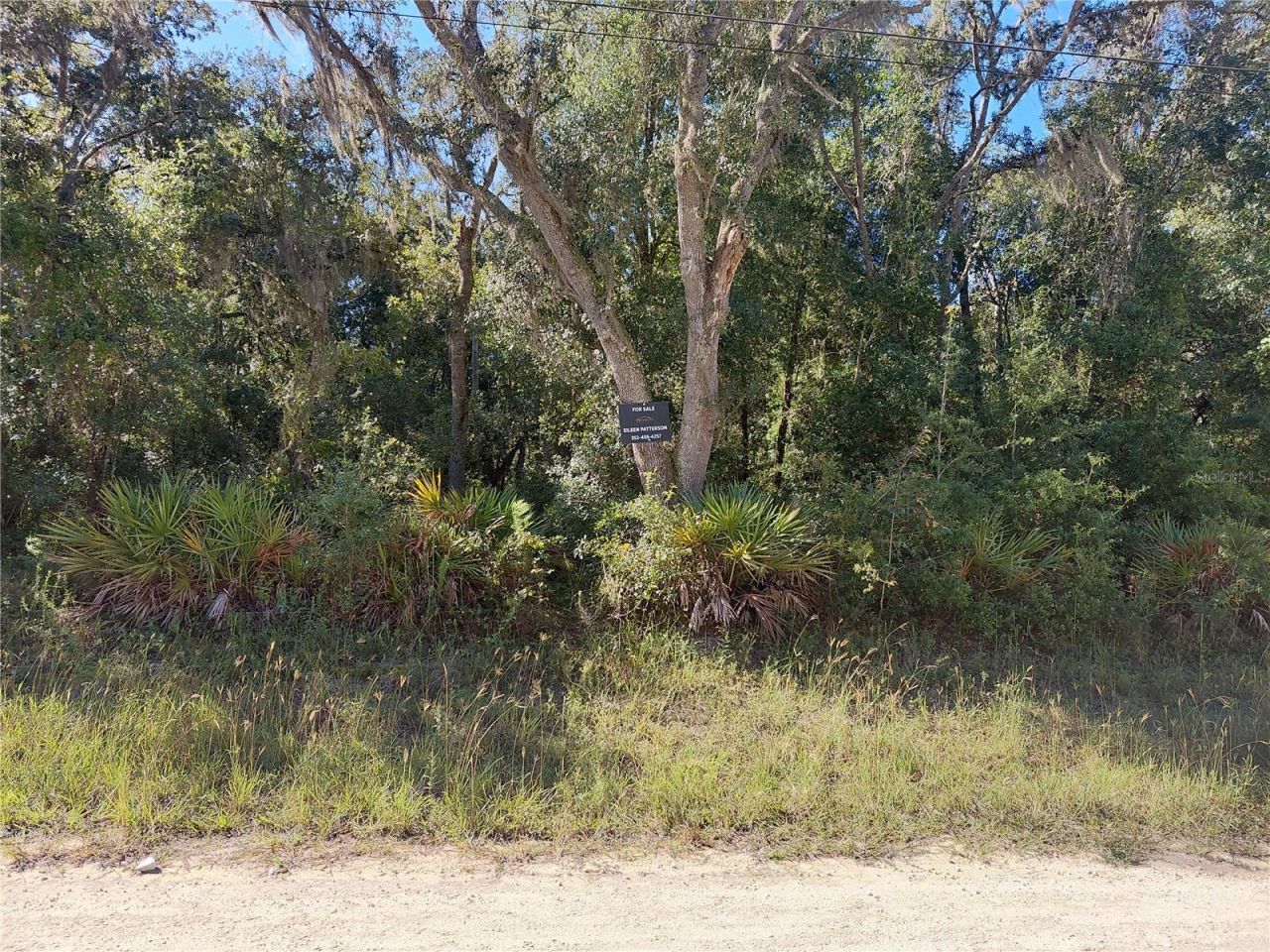 Butternut Drive , Webster, FL 33597 Photo