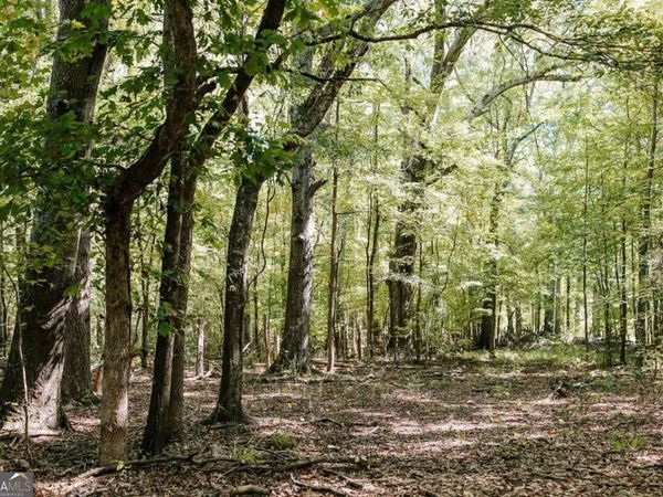 0 Lundburg Road, Washington, GA 30673