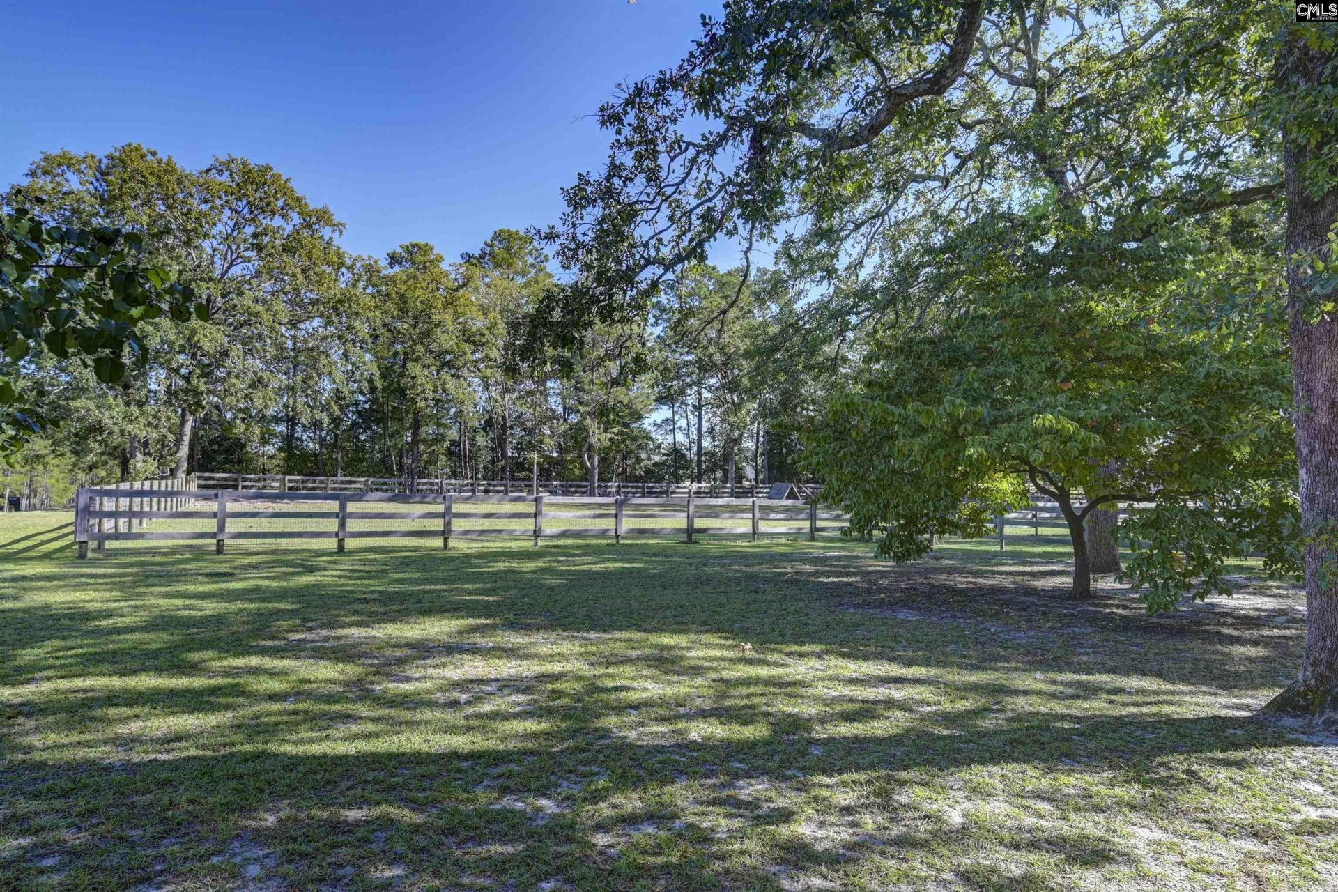 1055 Belo Road Photo 58