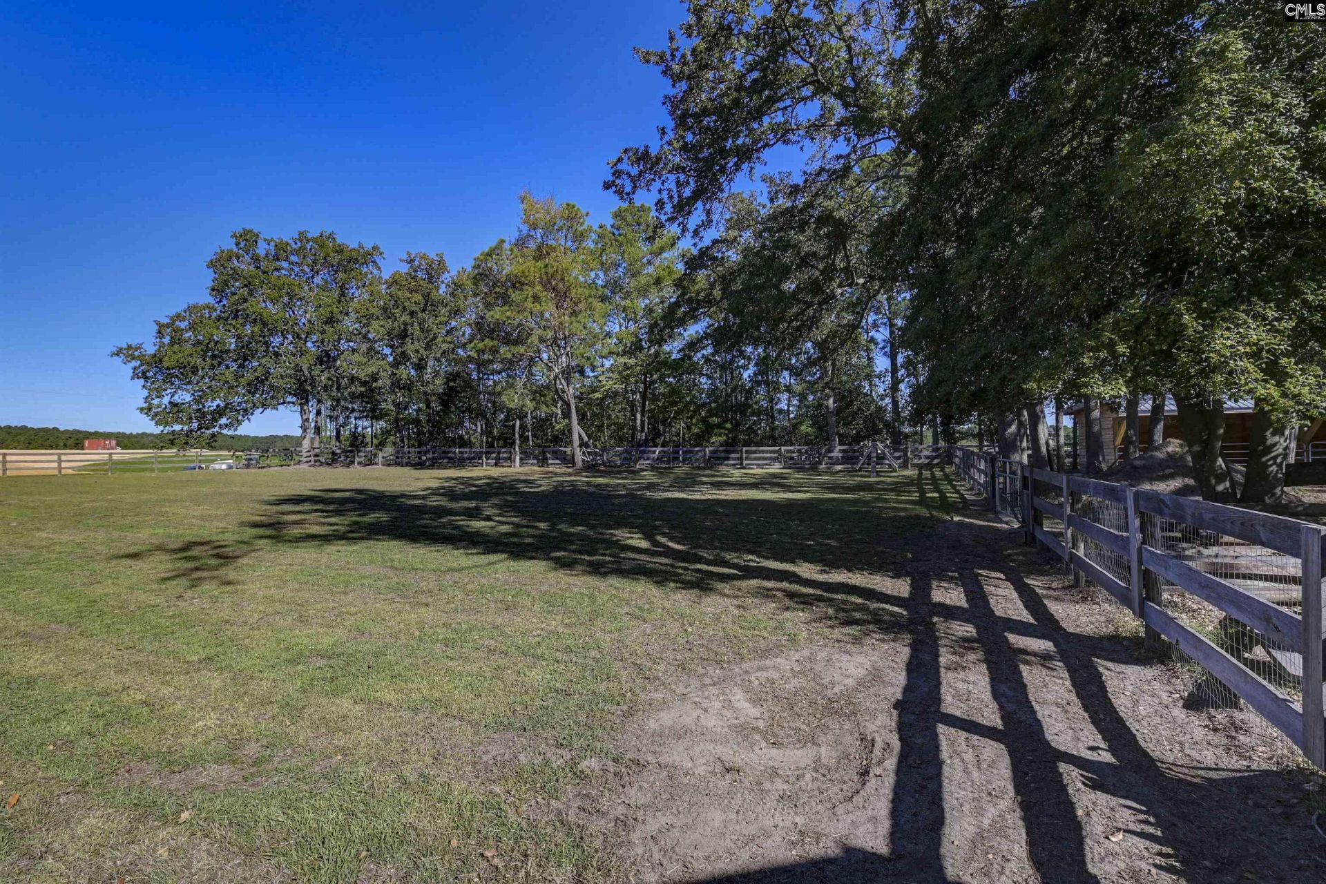 1055 Belo Road Photo 59