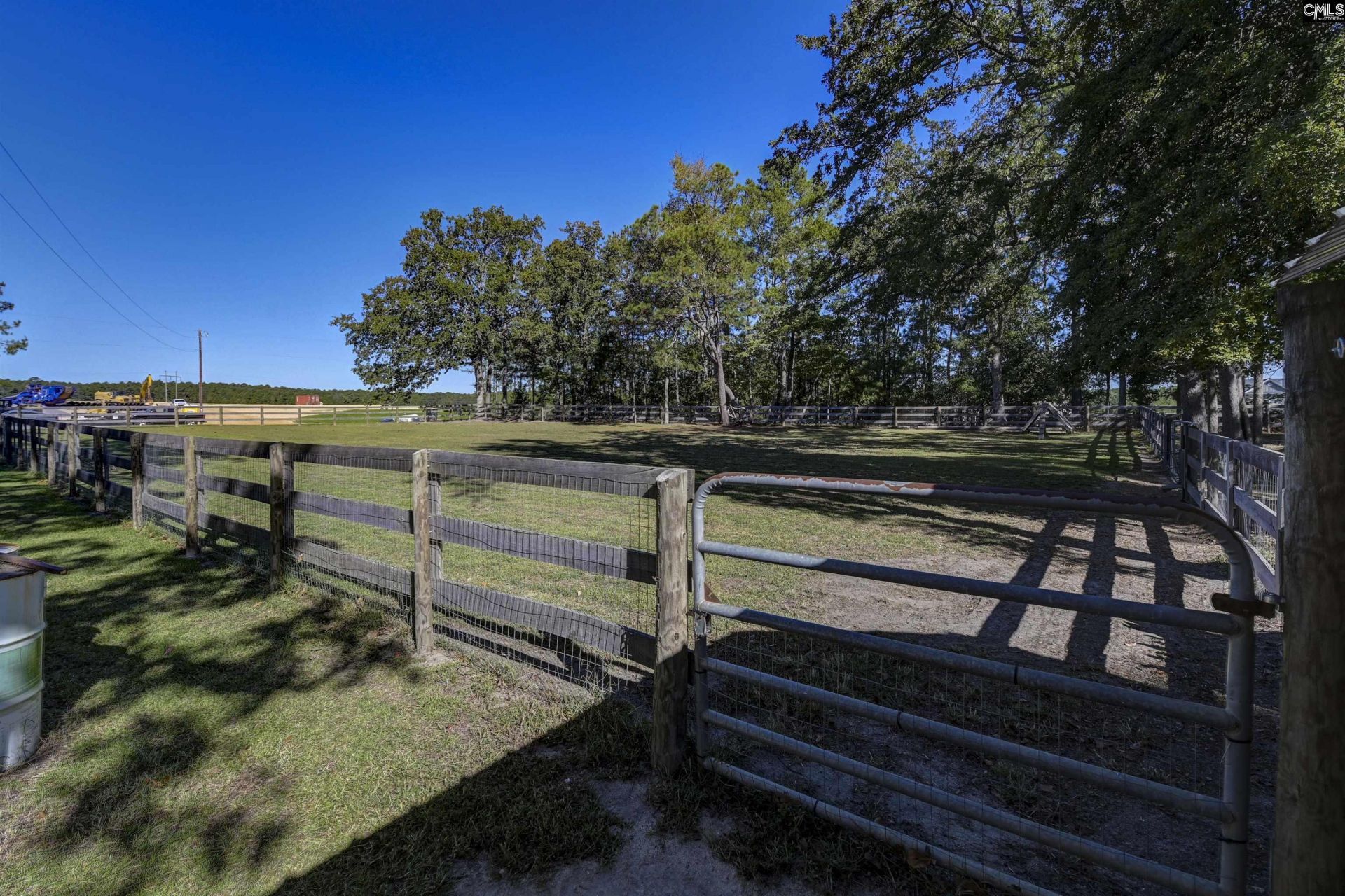 1055 Belo Road Photo 60