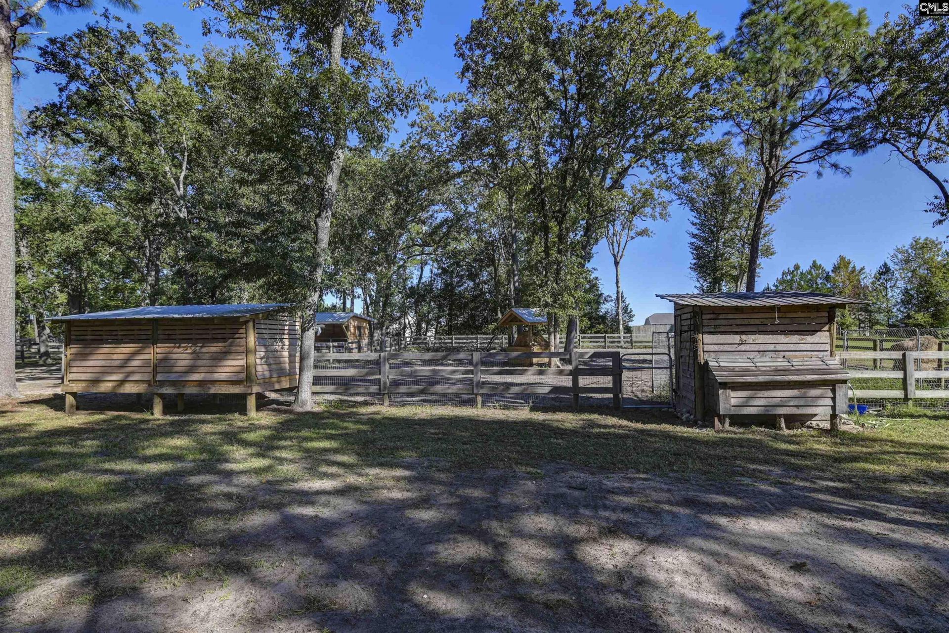 1055 Belo Road Photo 61