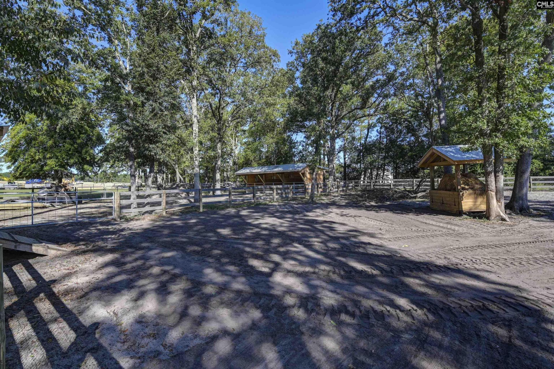 1055 Belo Road Photo 63