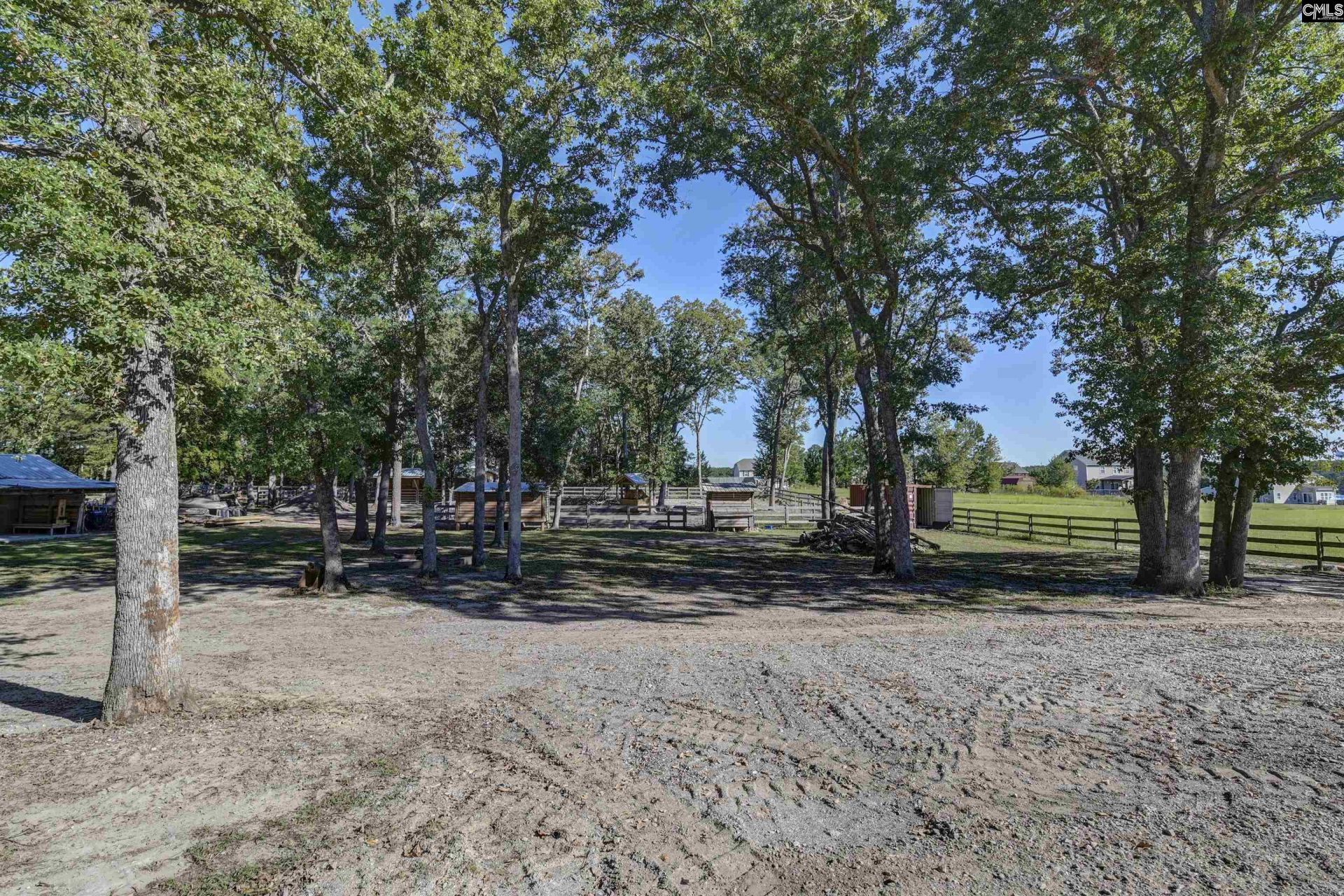 1055 Belo Road Photo 67