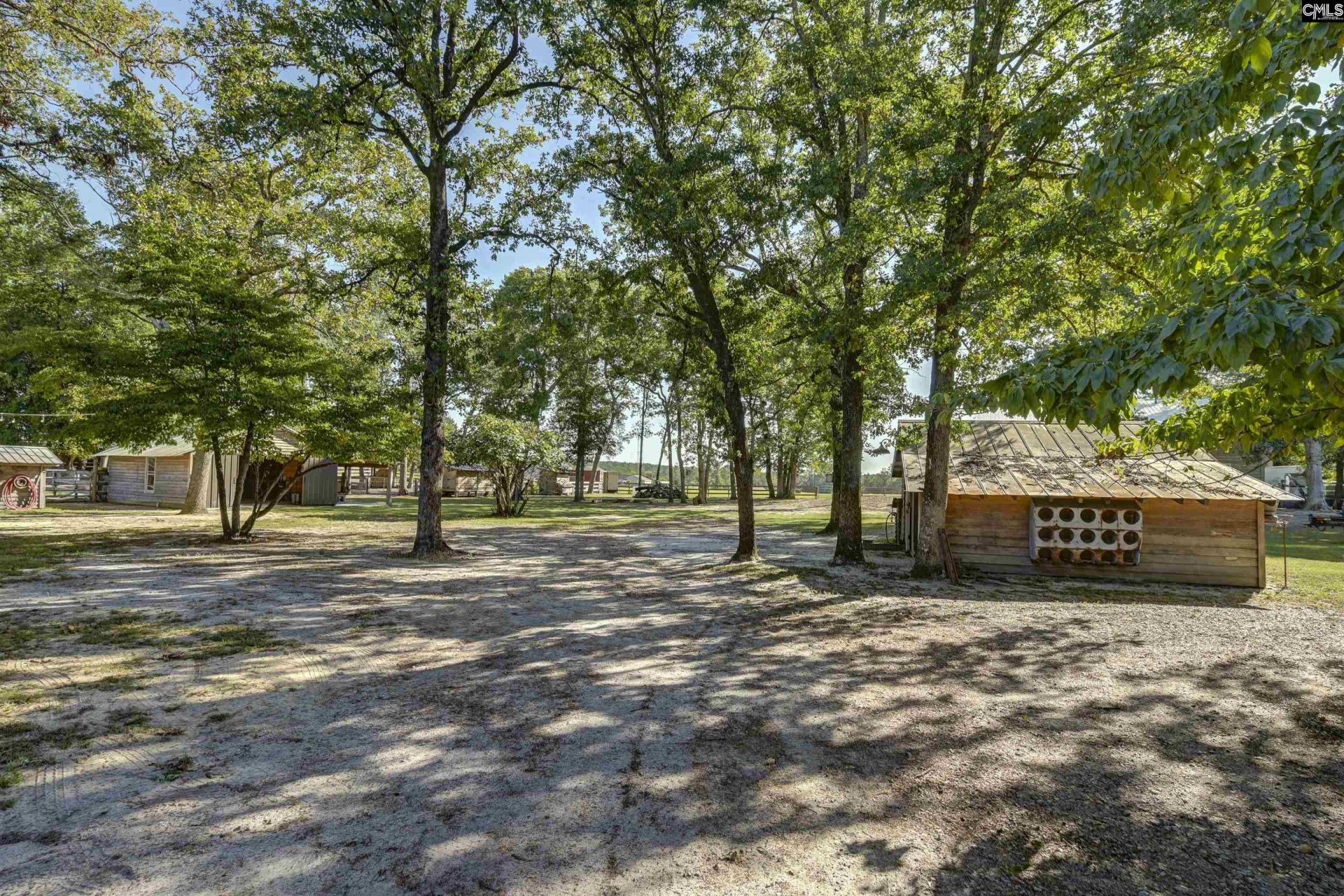 1055 Belo Road Photo 77