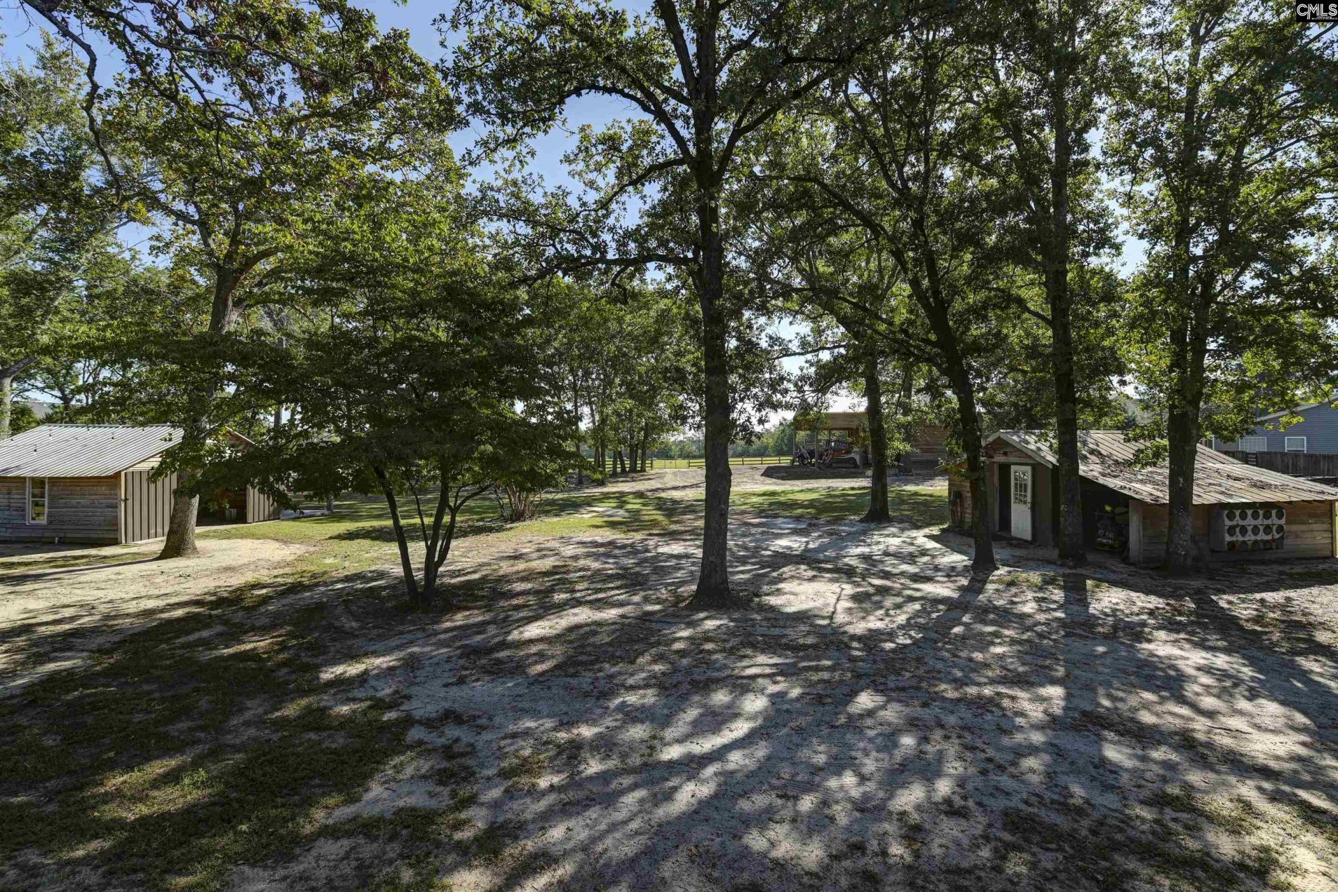 1055 Belo Road Photo 82