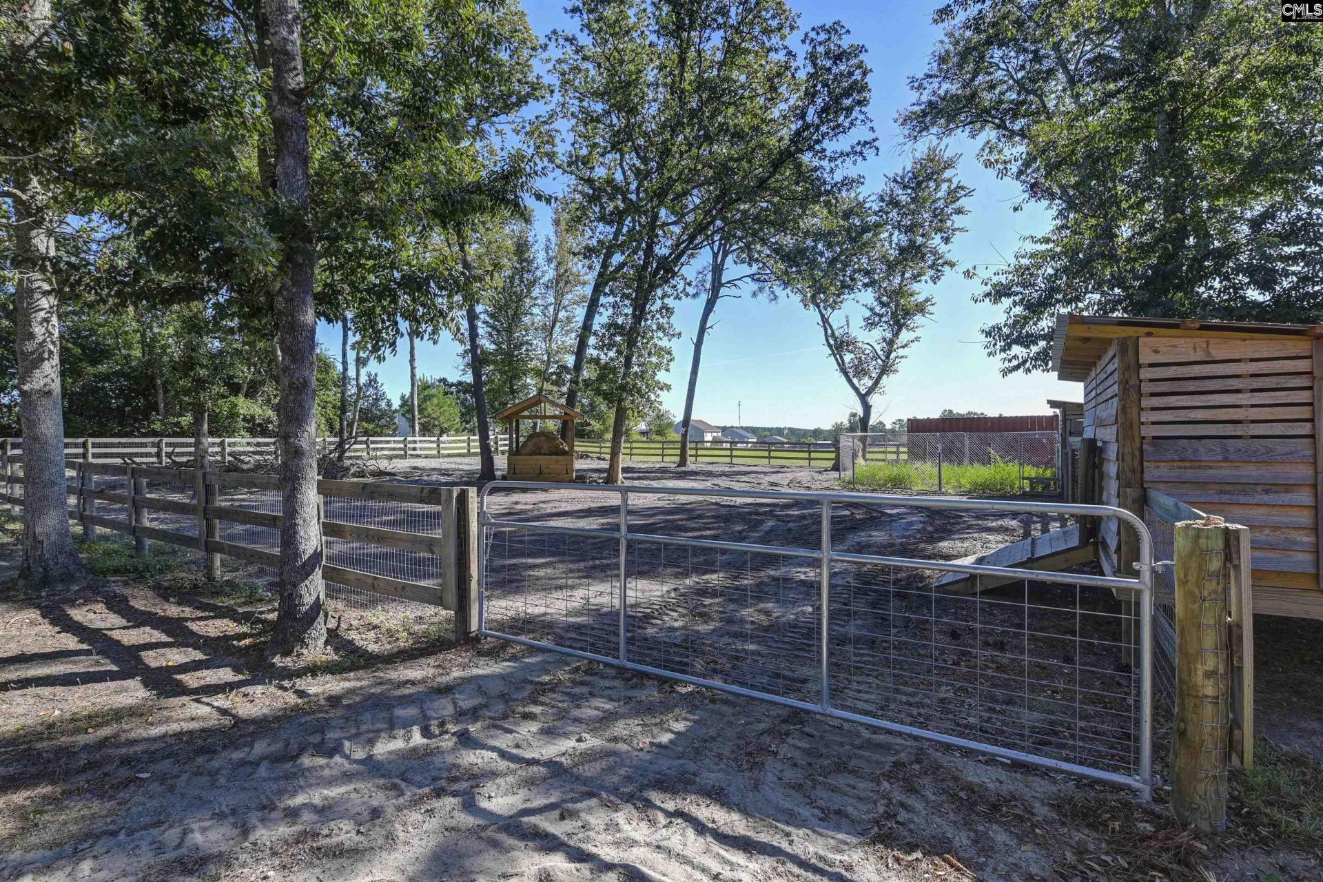 1055 Belo Road Photo 84