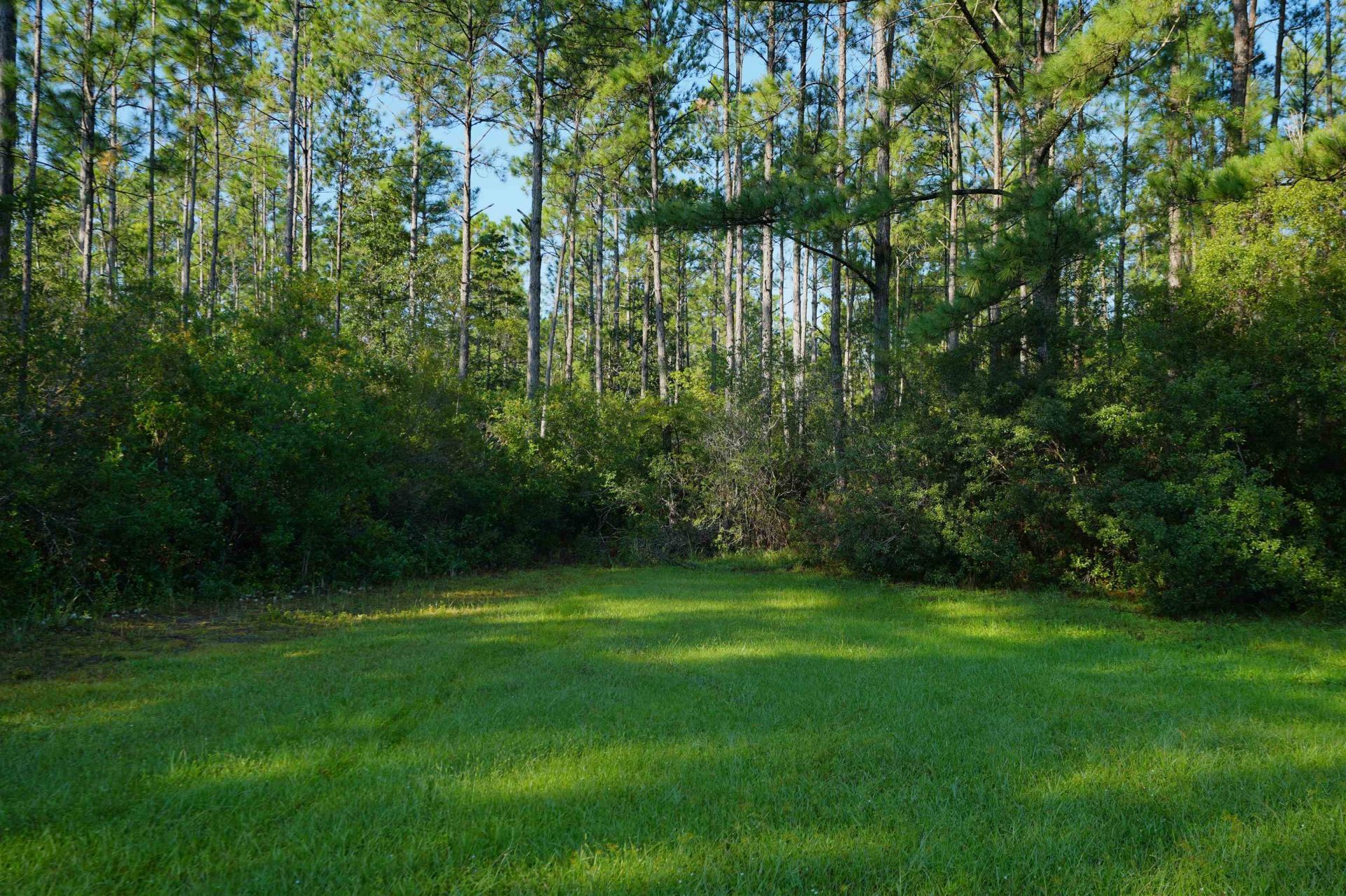 01 Blountstown Highway , Tallahassee, FL 32310 Photo