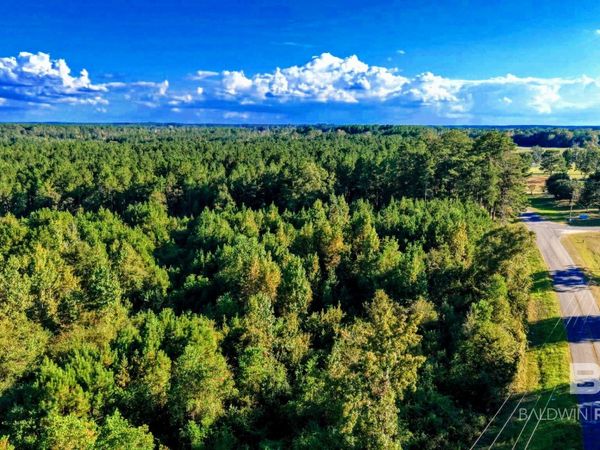 0 Nathan Jordan Road, Millry, AL 36558