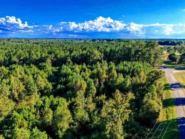 0 Nathan Jordan Rd, Millry, AL 36558
