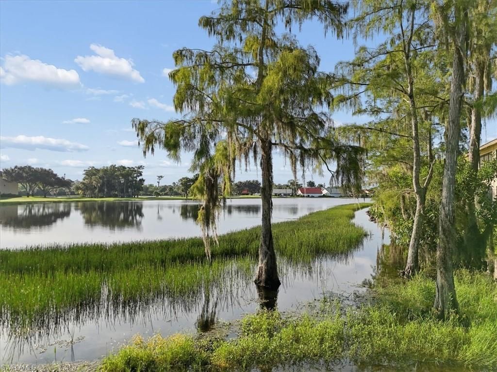 13071 Cross Creek Blvd, Unit 403, Fort Myers, FL 33912 Photo