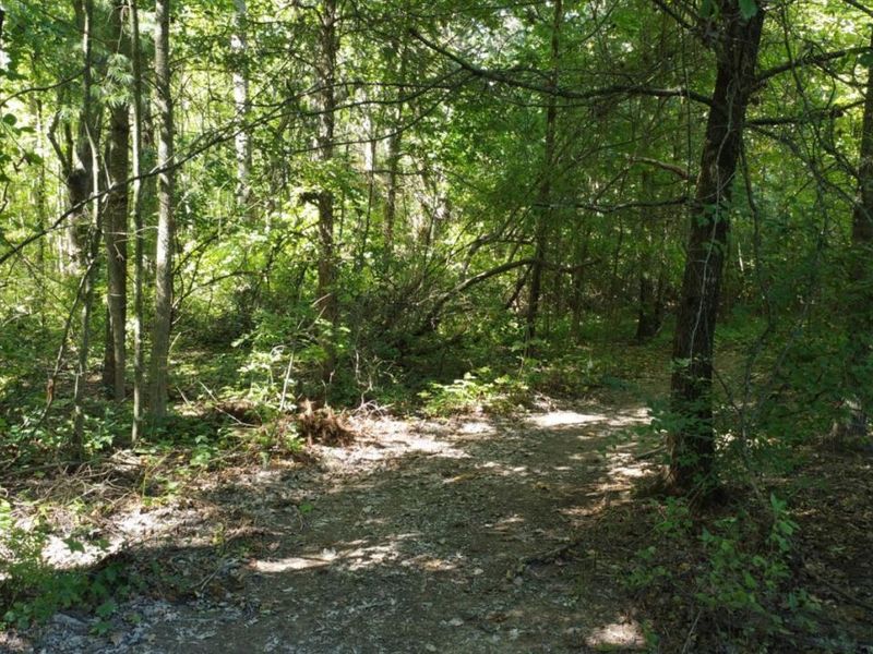 3157 US Rt 50, Perry Township, OH 45118 Photo 96
