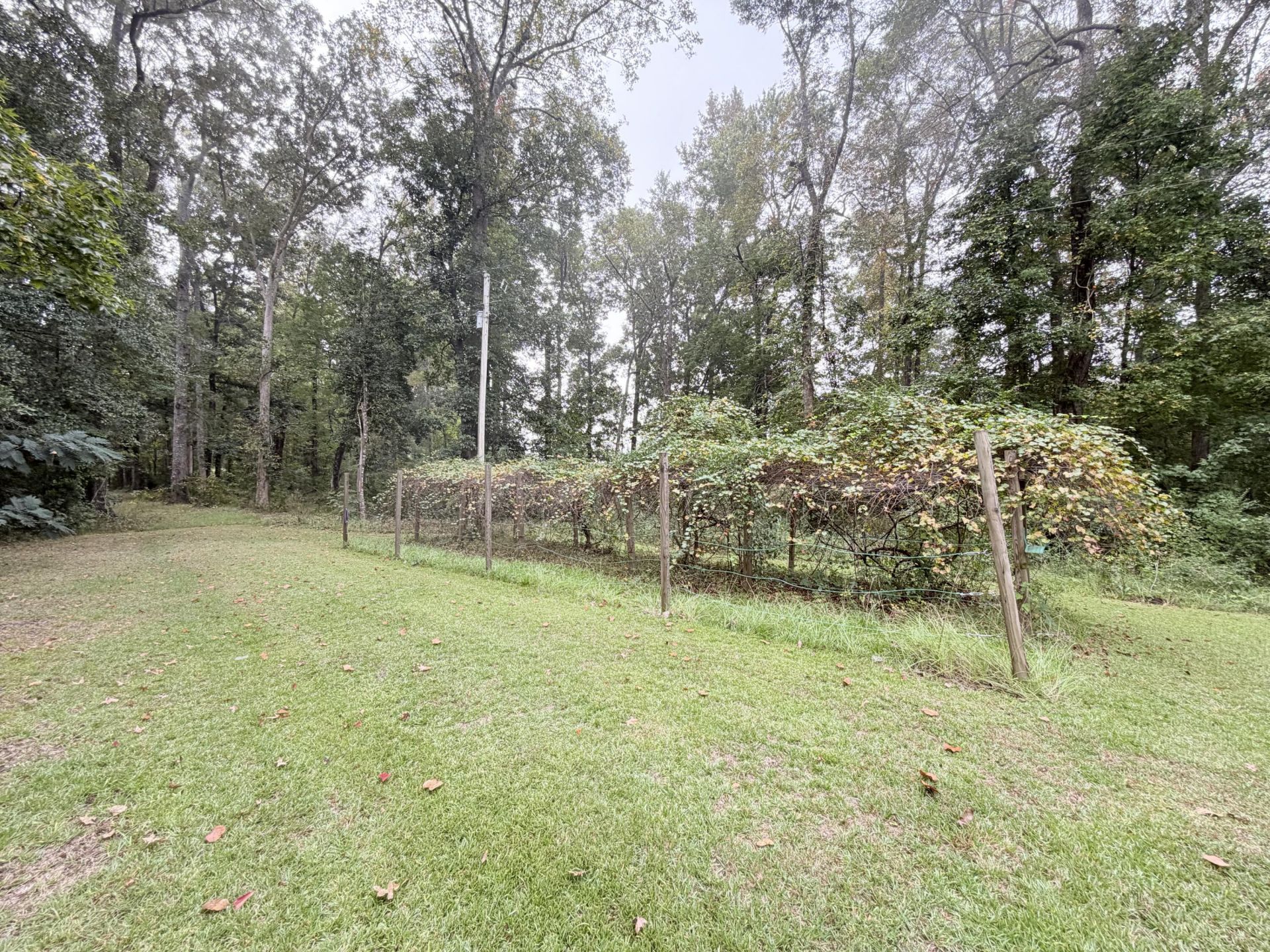 828 Morrisville Road Photo 15