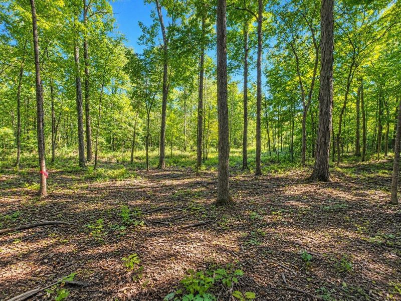 17672 Bear Swamp Road, Marysville, OH 43040 Photo 45