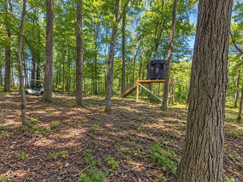 17672 Bear Swamp Road, Marysville, OH 43040 Photo 46