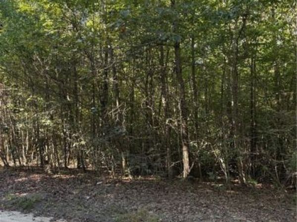 01 doswell town Road , Meherrin, VA 23954