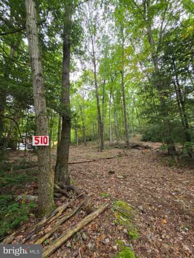 510 W WHITE BEAR DRIVE, SUMMIT HILL, PA 18250