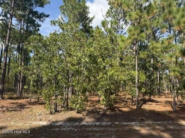 125 Bay Ridge Road , Harrells, NC 28444