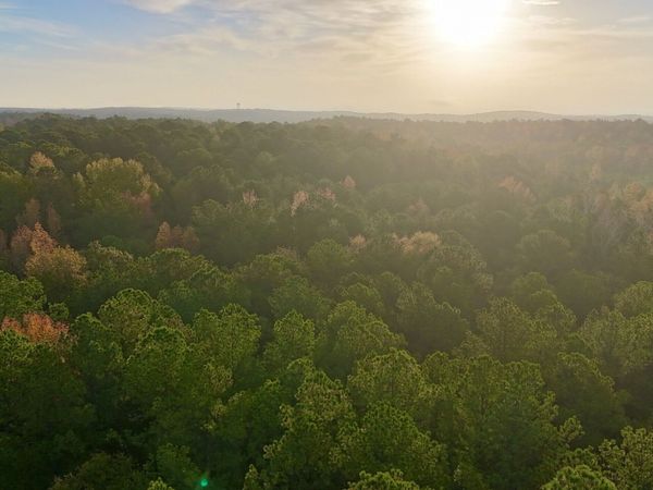 TRACT 2 Dennis Creek Road, Talbotton, GA 31827