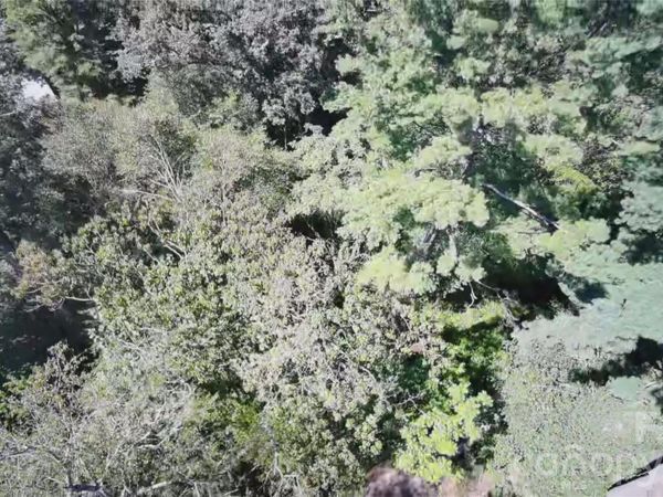 99999 Roebling Circle , Asheville, NC 28803