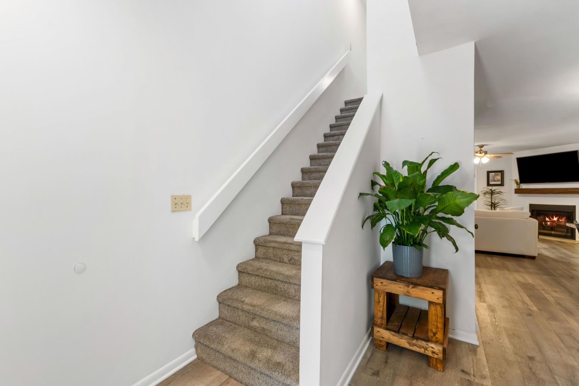 8 Townpark Lane Photo 5