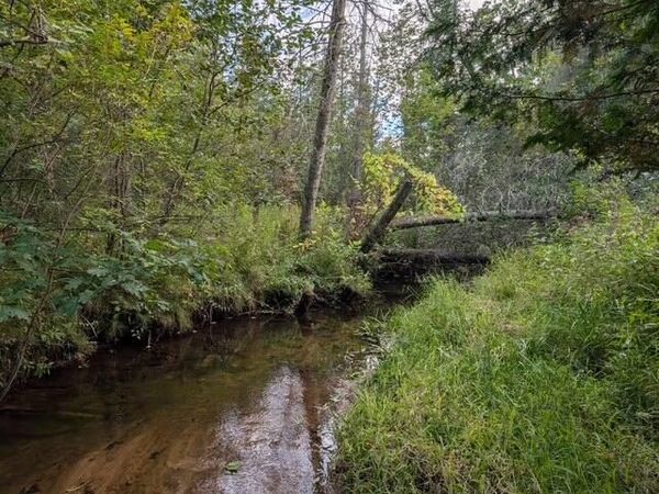 22313 10 Mile Road, Reed City, MI 49677