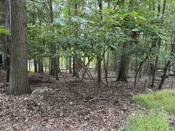39 Bear Run Drive, Drums, PA 18222