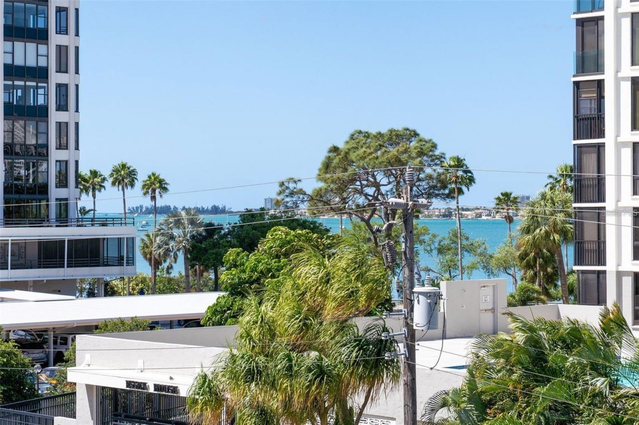 711 S Palm Avenue, Unit 302, Sarasota, FL 34236 Photo