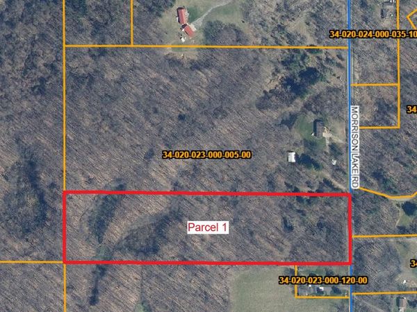 6286 Morrison Lake Road, Unit Parcel 1, Saranac, MI 48881