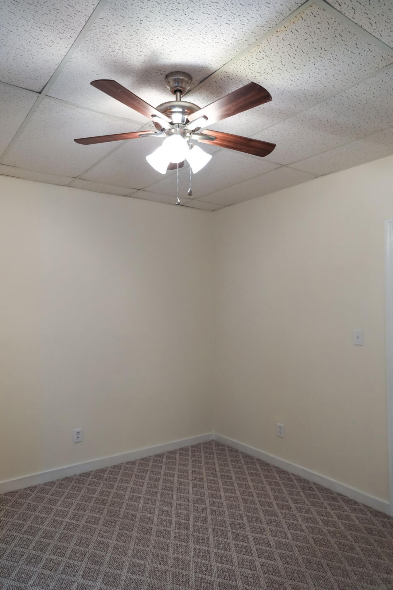 561 Rutledge Avenue Photo 21