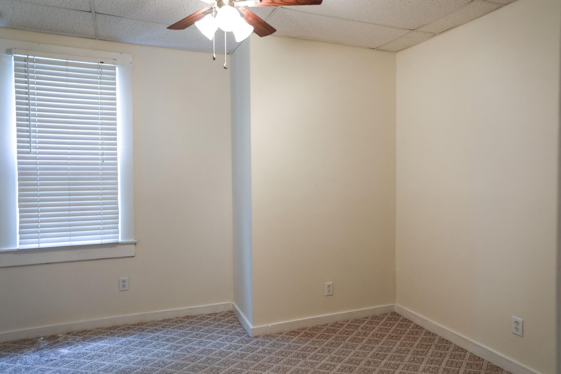 561 Rutledge Avenue Photo 24