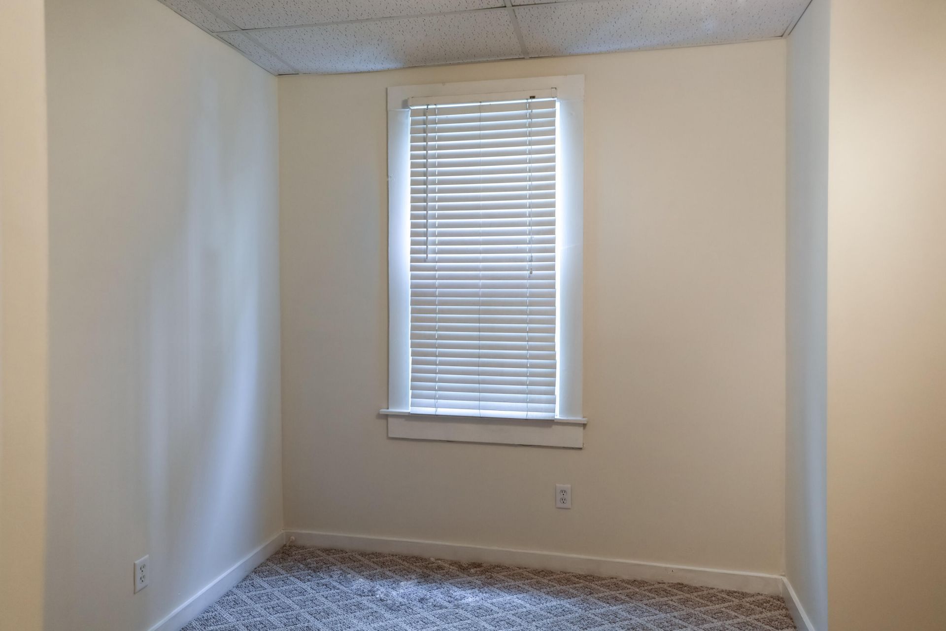 561 Rutledge Avenue Photo 26