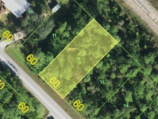12338 CATALINA DRIVE , PUNTA GORDA, FL 33955