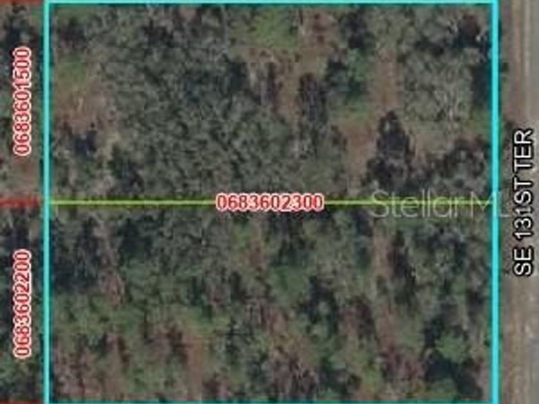 SE 131 TERRACE , DUNNELLON, FL 34431