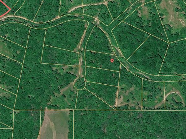 0 Gadusi, Trenton, GA 30752