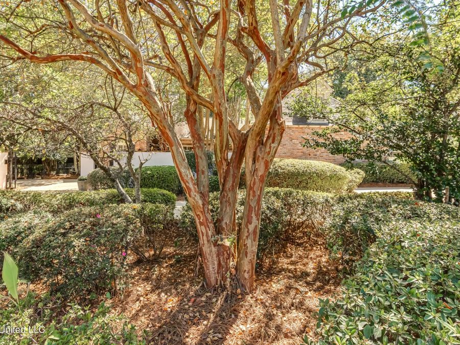 Property Image 66