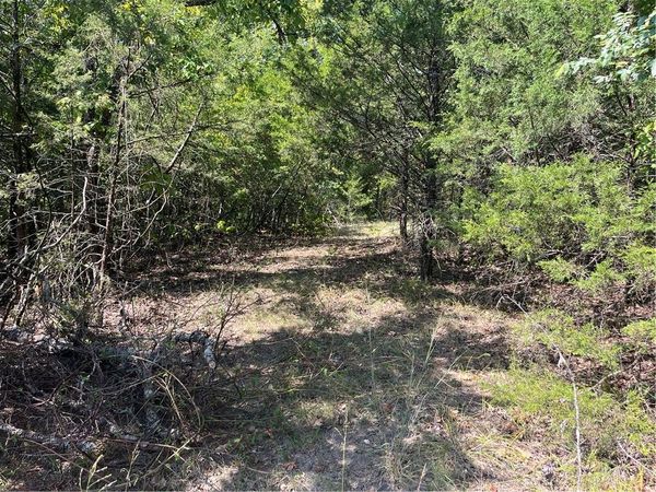 345 MC 8112 , Yellville, AR 72687